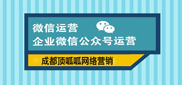 顶呱呱网络营销 微信公众号运营.jpg