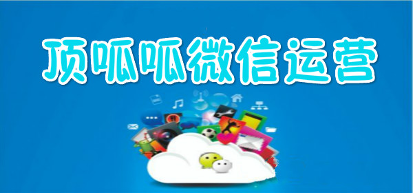 顶呱呱微信运营
