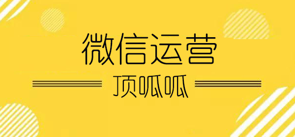 顶呱呱微信运营
