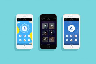 <strong>开发小程序需要的技术</strong>